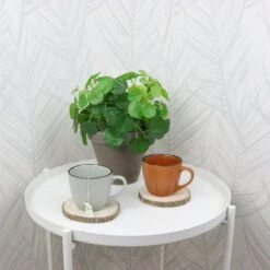 OTIX Koffiekopjes - Met Oor - Set Van 4 - Verschillende Kleuren - Aardewerk - 250 Ml -Woonkeuken Winkel 1200x1200 1320