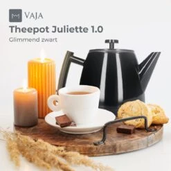 Vaja® Theepot Juliette Met Filter - Dubbelwandig -Theekan 1.0L - Glimmend Zwart -Woonkeuken Winkel 1200x1200 1394