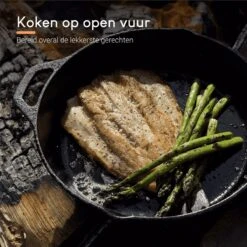 Ocina Gietijzeren Pan – ø30,5cm - Skillet - Koekenpan – Hapjespan – Koekenpan Inductie – Koekenpannenset - Gietijzeren Pan Bbq - Gietijzer -Woonkeuken Winkel 1200x1200 300