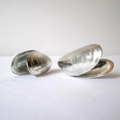 Het Zeeuws Mosselbestek -Woonkeuken Winkel 1200x1200 38