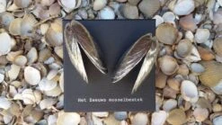 Het Zeeuws Mosselbestek -Woonkeuken Winkel 1200x675