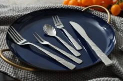 Swiss Pro+ Bestekset In Koffer-72 Delig-12 Persoons-Zwitsers Kwaliteit-Complete Set-100% Roestvrijstaal-Modern 24 Swiss Pro+ Bestekset In Koffer-72 Delig-12 Persoons-Zwitsers Kwaliteit-Complete Set-100% Roestvrijstaal-Modern -Woonkeuken Winkel 1200x799 13