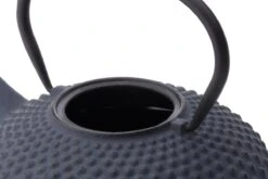 Bredemeijer - Theepot Xilin 1,25L Gietijzer Blauw 13 Bredemeijer - Theepot Xilin 1,25L Gietijzer Blauw -Woonkeuken Winkel 1200x800 194