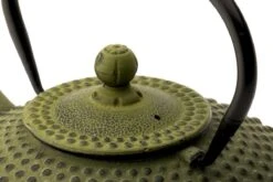 Bredemeijer - Theepot Xilin 1,25L Gietijzer Groen -Woonkeuken Winkel 1200x800 197