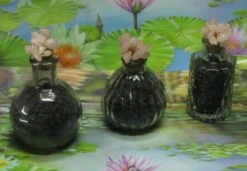 1000g Shungiet Shungite Stenen Voor Water En Ontstoring 22 1000g Shungiet Shungite Stenen Voor Water En Ontstoring -Woonkeuken Winkel 1200x832 3