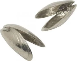 Het Zeeuws Mosselbestek -Woonkeuken Winkel 1200x958