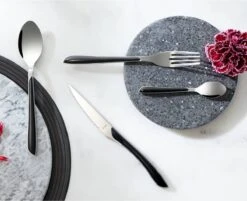 Amefa Eclat Zwart - 16 Delige Set - 4 Persoons - Zwart Gekleurd Bestek 16 Amefa Eclat Zwart - 16 Delige Set - 4 Persoons - Zwart Gekleurd Bestek -Woonkeuken Winkel 1200x975