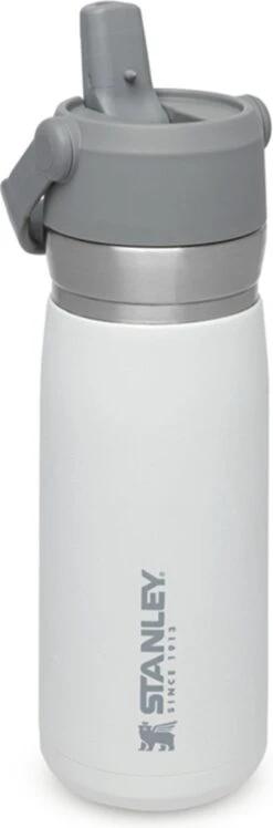 Stanley The IceFlow™ Flip Straw Water Bottle 0,65L - Thermosfles - Lagoon 19 Stanley The IceFlow™ Flip Straw Water Bottle 0,65L - Thermosfles - Lagoon -Woonkeuken Winkel 396x1200 2