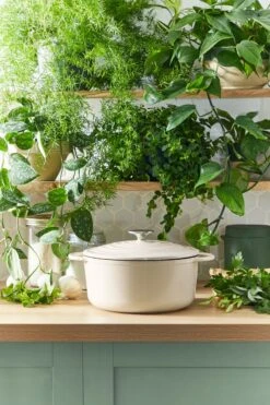 Tefal LOV Braadpan - 5L - Ø25 Cm - Beige -Woonkeuken Winkel 800x1200 19